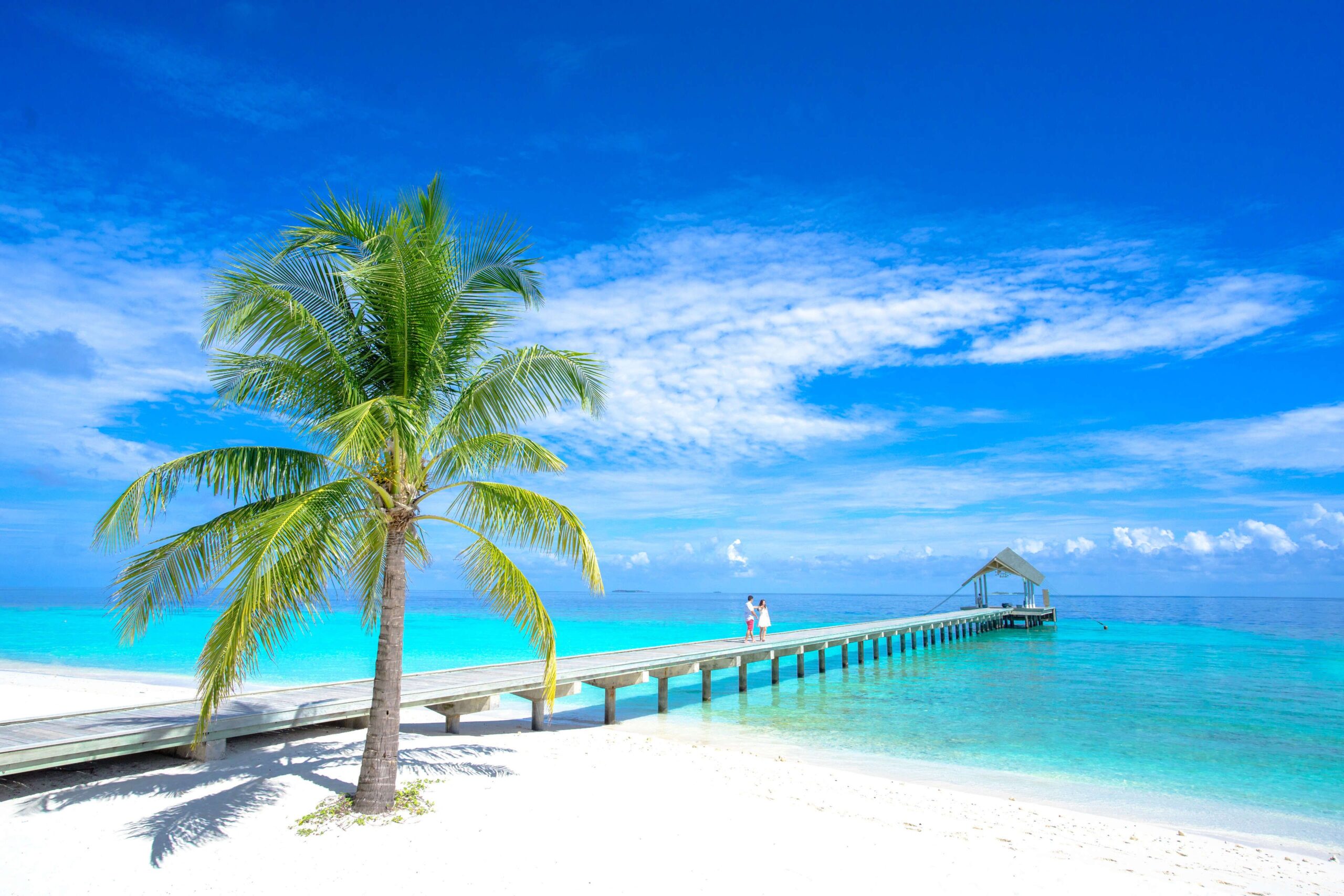 A tropical beach in the Maldives with a palm tree, white sand, a long wooden pier over clear turquoise water, and two people walking beneath a bright blue sky.